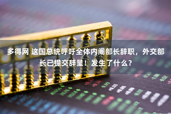 多得网 这国总统呼吁全体内阁部长辞职，外交部长已提交辞呈！发生了什么？