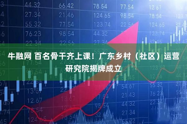 牛融网 百名骨干齐上课！广东乡村（社区）运营研究院揭牌成立