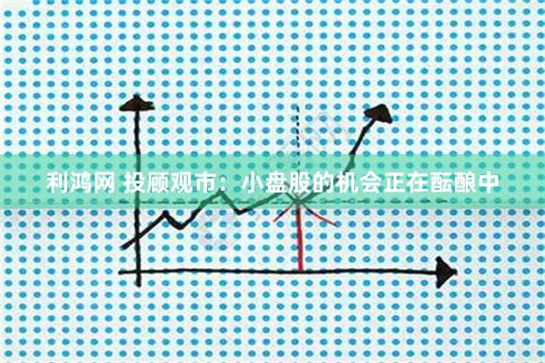 利鸿网 投顾观市：小盘股的机会正在酝酿中
