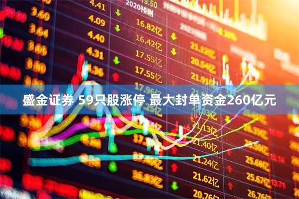 盛金证券 59只股涨停 最大封单资金260亿元