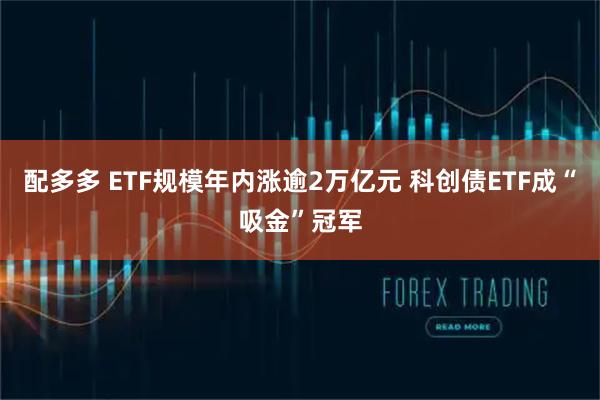 配多多 ETF规模年内涨逾2万亿元 科创债ETF成“吸金”冠军