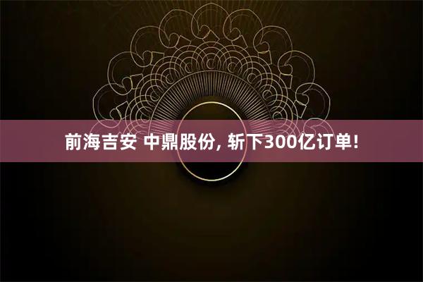 前海吉安 中鼎股份, 斩下300亿订单!