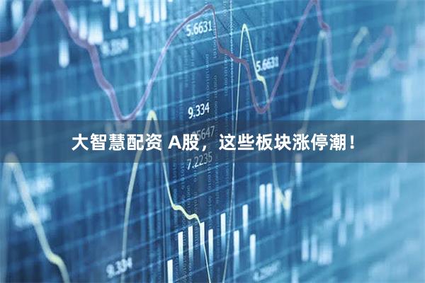 大智慧配资 A股，这些板块涨停潮！