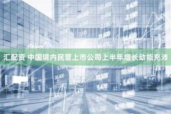 汇配资 中国境内民营上市公司上半年增长动能充沛